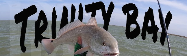 Trinity Bay Fishing